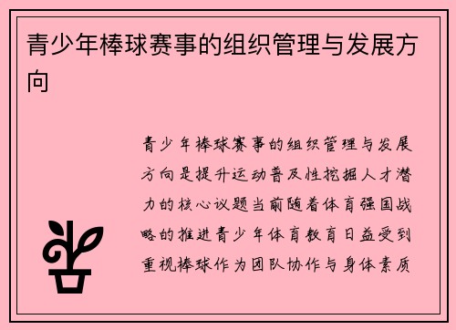 青少年棒球赛事的组织管理与发展方向